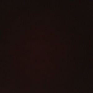 Meet your Posher, Jr