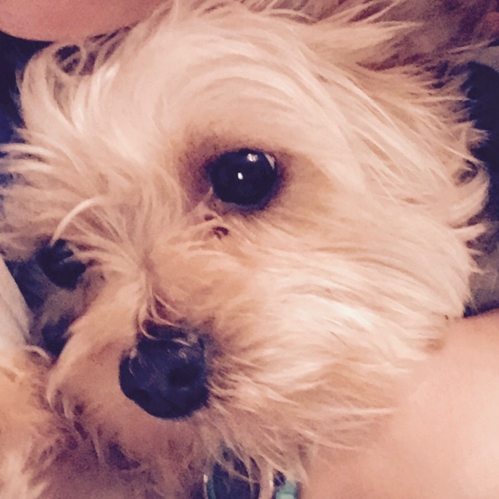 Meet your Posher, Margie