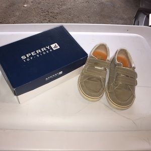 Sperry top-sider.