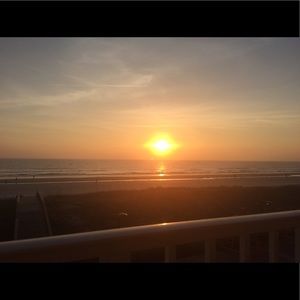 Meet your Posher, Tamara