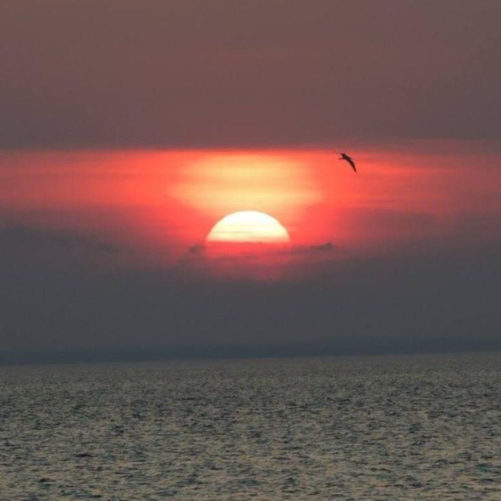 Meet your Posher, Tricia