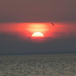 Meet your Posher, Tricia