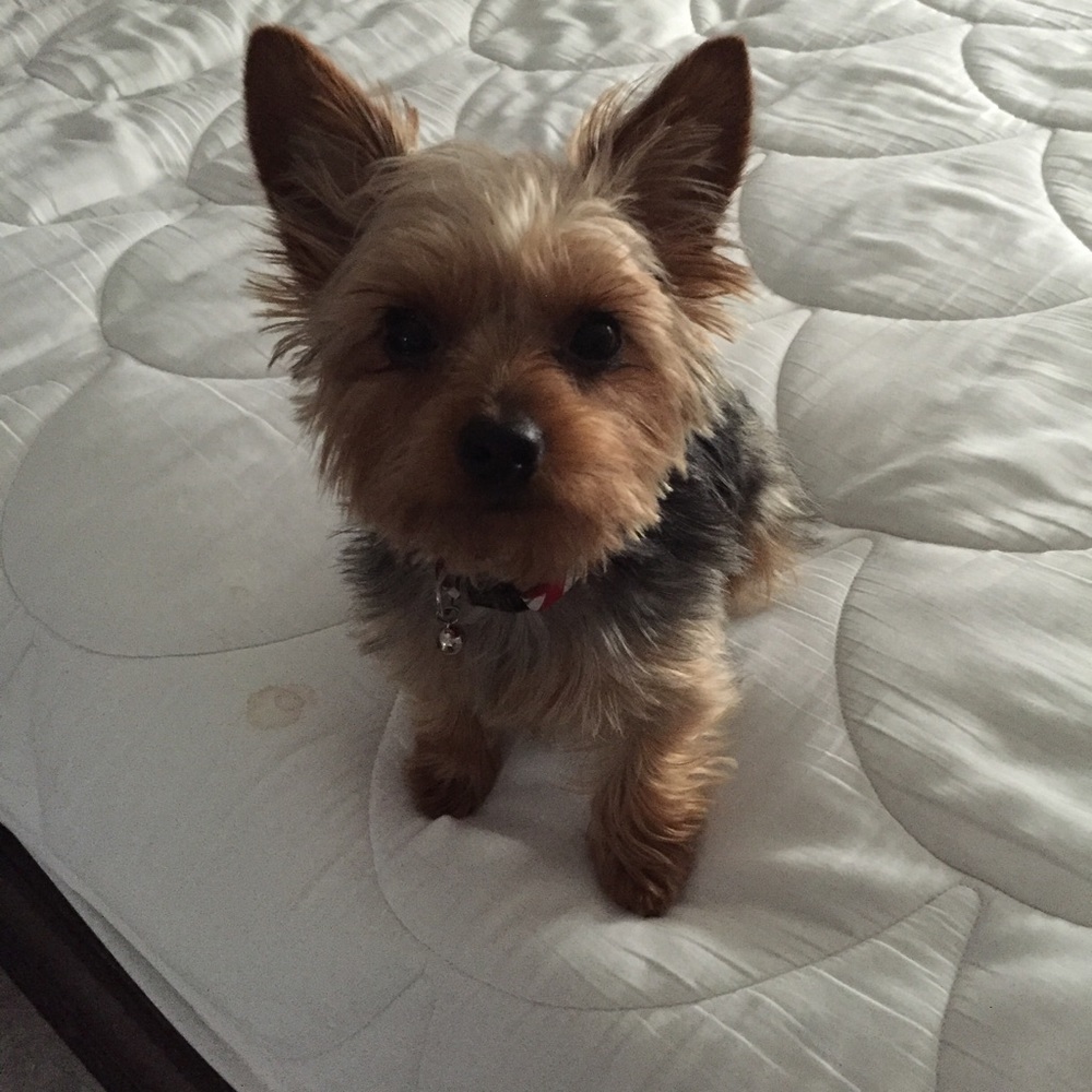 Meet your Posher, Maureen