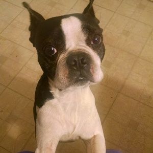 Meet your Posher, Martha a