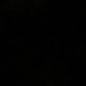 Meet your Posher, Ellie