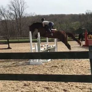 Meet your Posher, Kierra