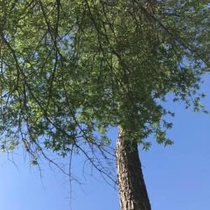 Meet your Posher, Mandy