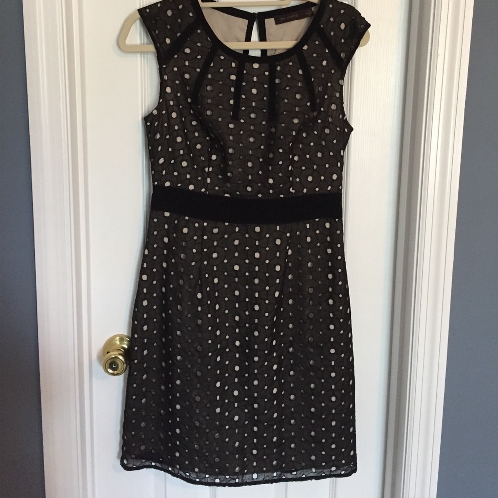 The Limited Dress ⭐️NEW LISTING ⭐️