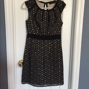 The Limited Dress ⭐️NEW LISTING ⭐️