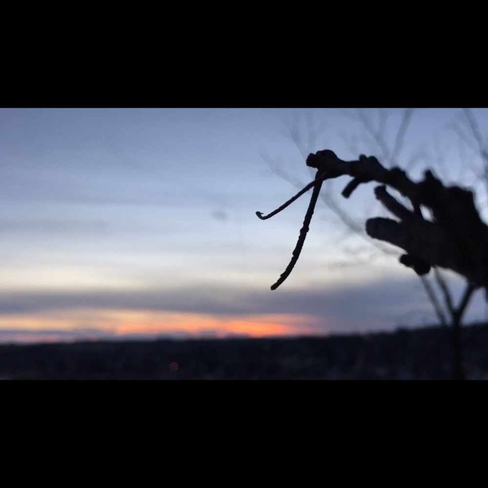 Meet your Posher, Jada