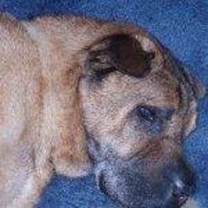 Meet your Posher, Raquel