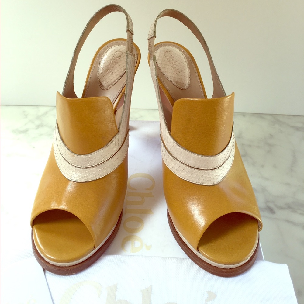 Chloe Leather and Snakeskin Platforms/Heels 40
