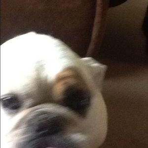 Meet your Posher, Kristy