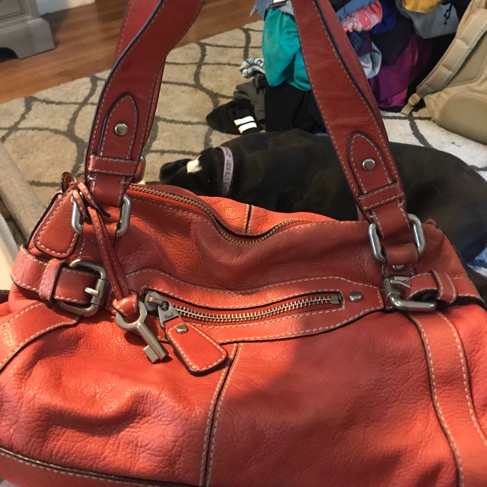 Coral Fossil Purse