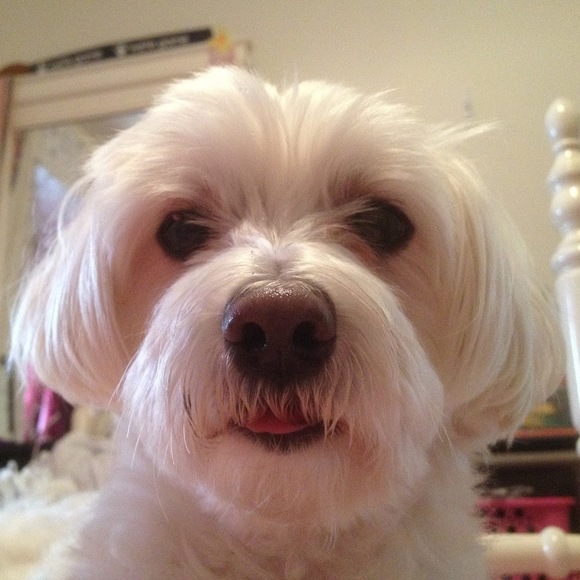 Meet your Posher, Natalie - Picture 1 of 1