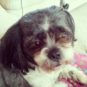 Meet your Posher, Gail