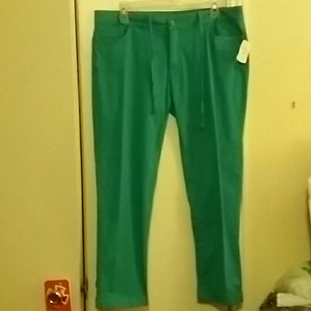 XCVI AQUA PANTS