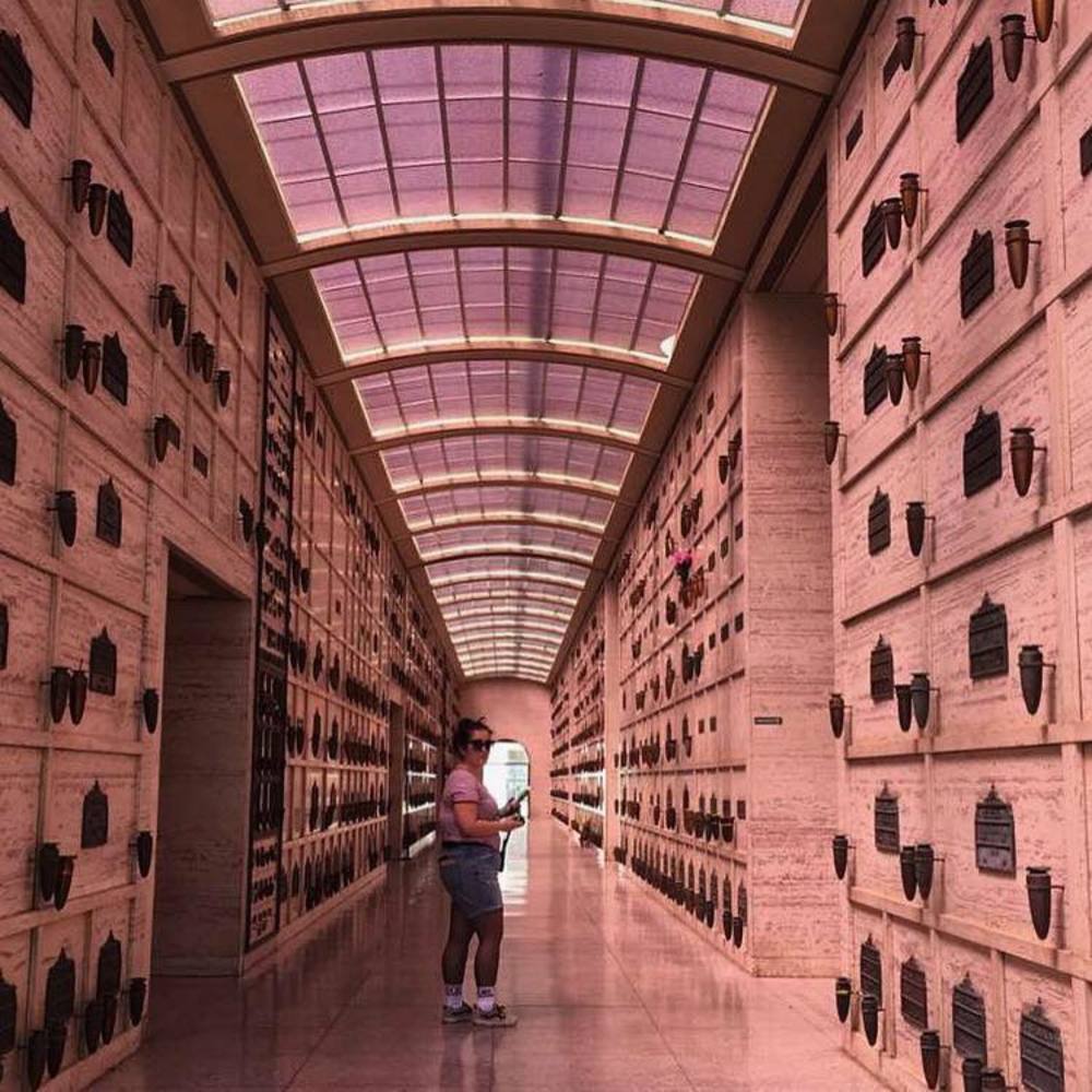 Meet your Posher, Ashliegh