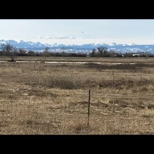 Meet your Posher, Bridget