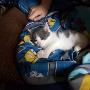 Meet your Posher, Sheri