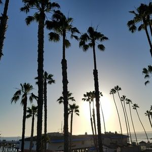 Meet your Posher, Arlene