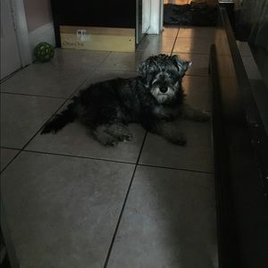 Meet your Posher, Rosa