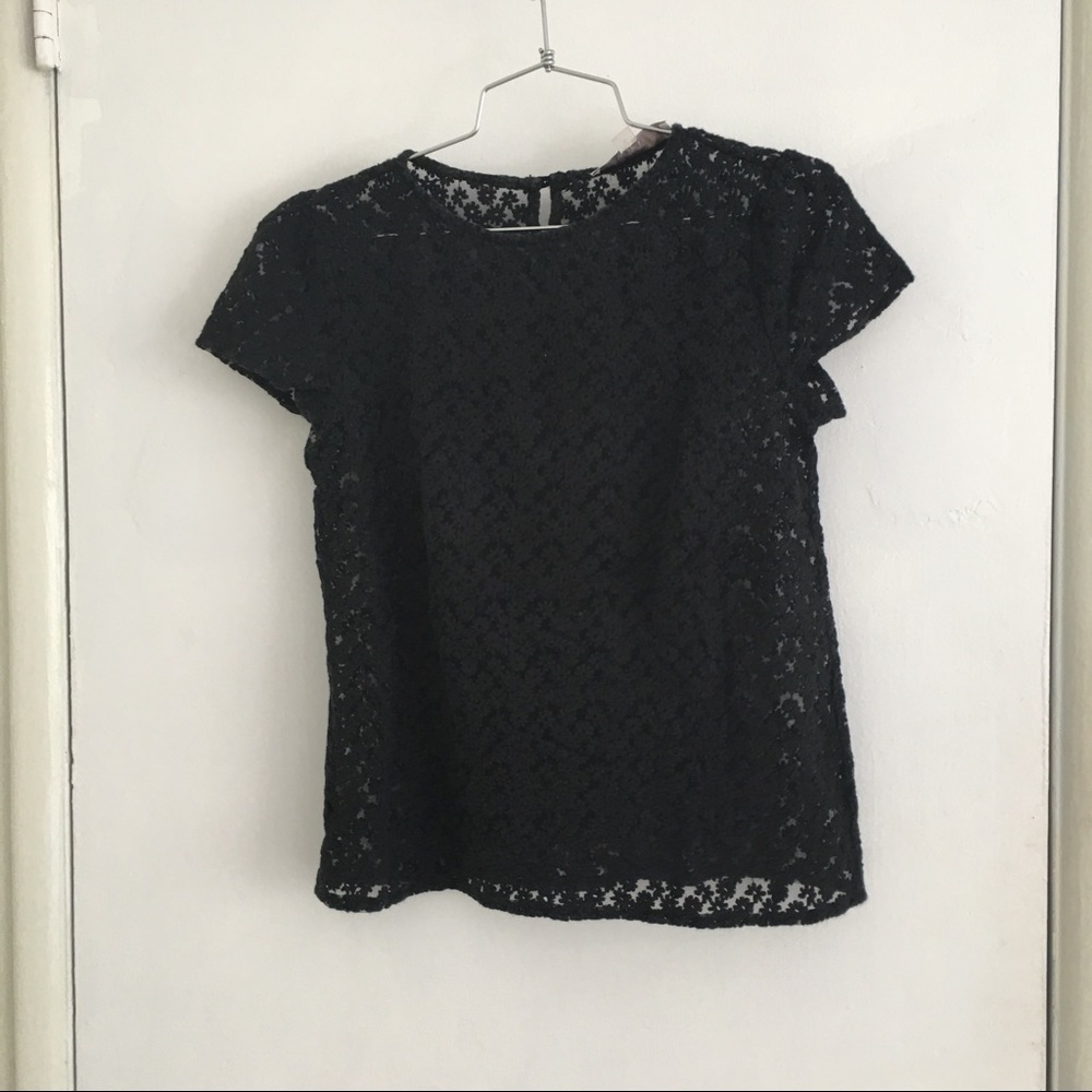 Loft Sheer Lace Shirt