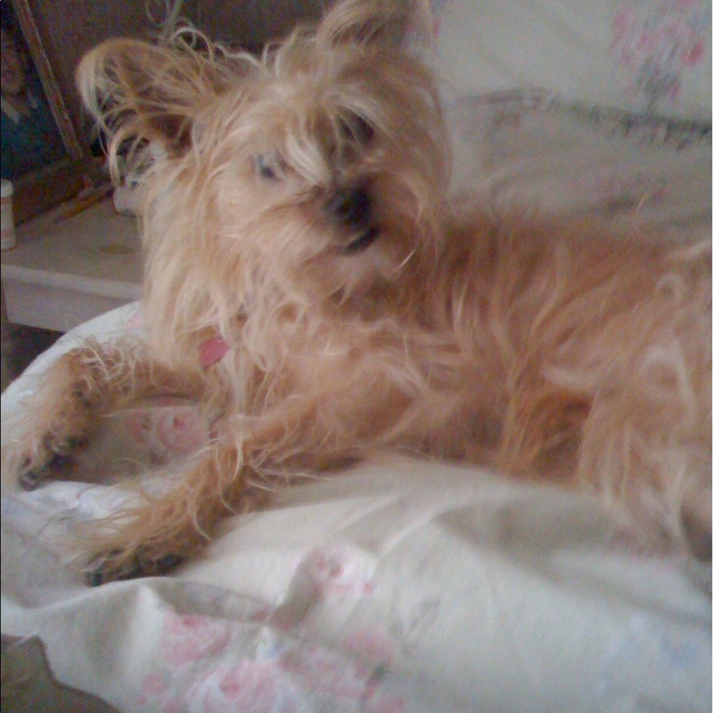 Meet your Posher, Marisa