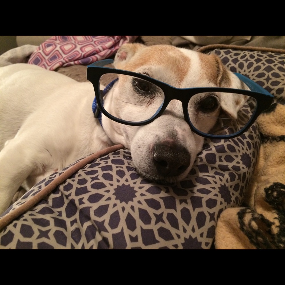 Meet your Posher, Roxanne