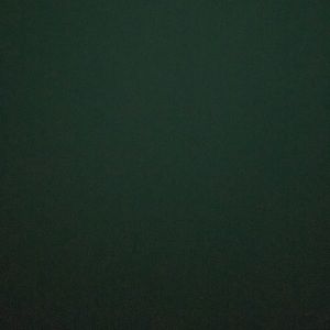 Meet your Posher, Ashlyn