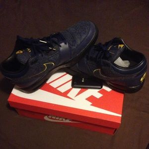 Nike Air Stepback Prem