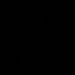 Meet your Posher, Luisa