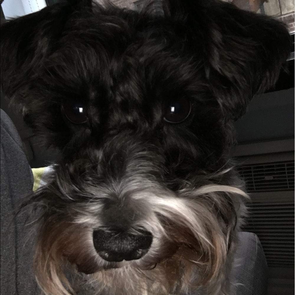 Meet your Posher, Allyson