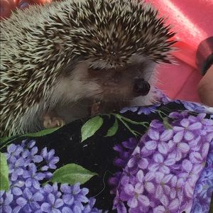 Meet your Posher, Heather