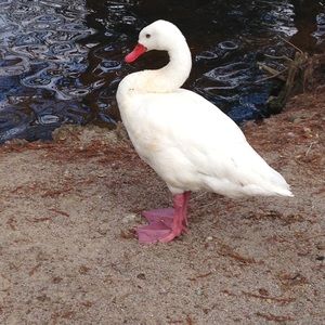 Meet your Posher, Linda