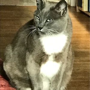 Meet your Posher, Esther