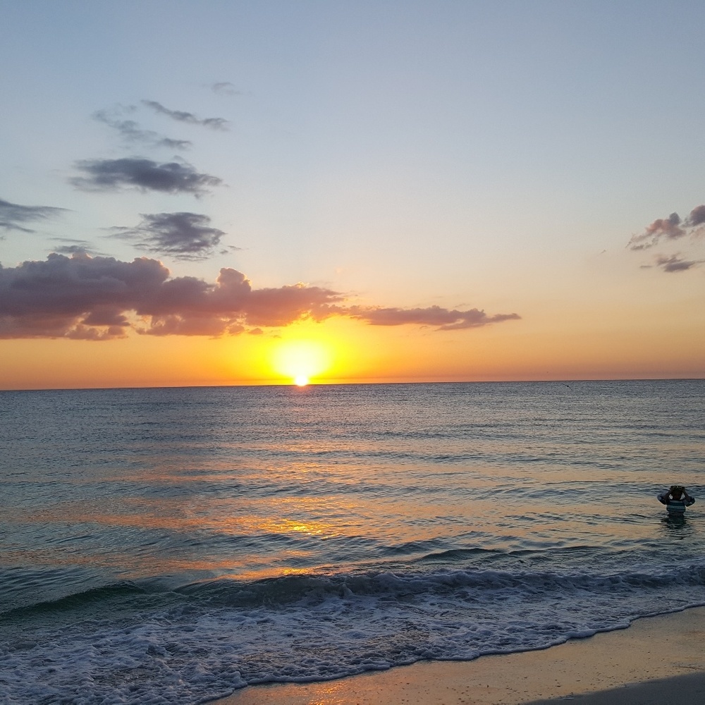 Meet your Posher, Autumn