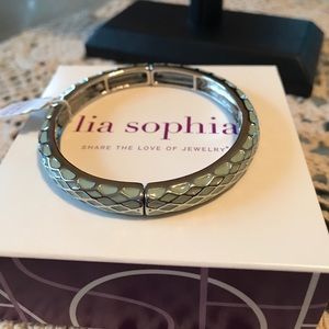 Small Honey Lust Mint bracelet-lia sophia. NWT