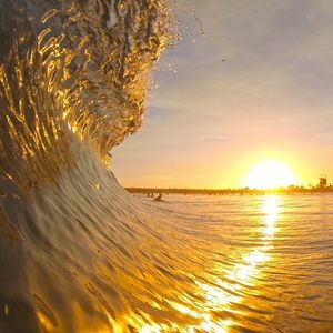 Meet your Posher, Raynard