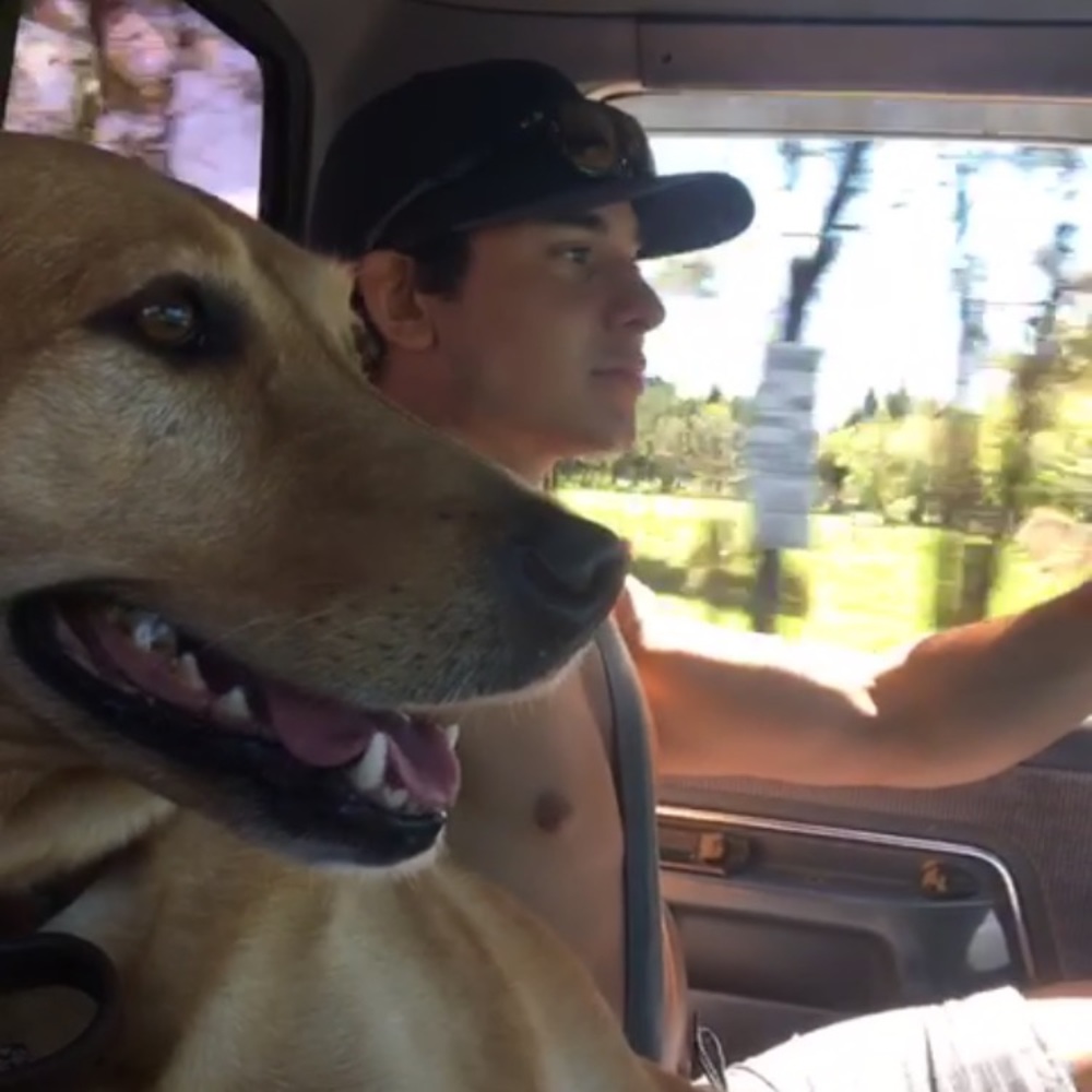 Meet your Posher, Justin