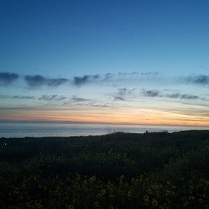 Meet your Posher, Lee-ann