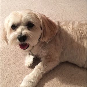 Meet your Posher, Christi