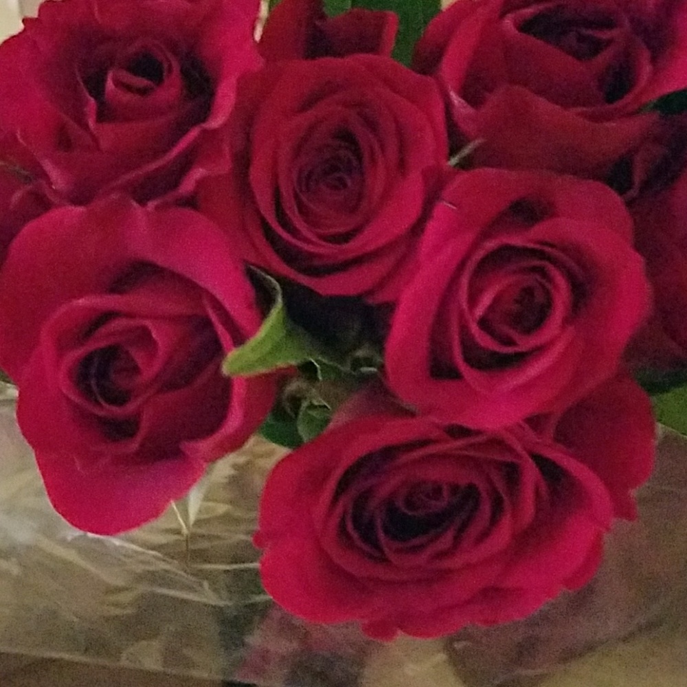 Meet your Posher, Tamara