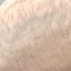 Meet your Posher, Annie