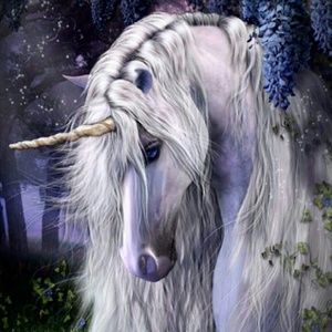 Meet your Posher, Monique