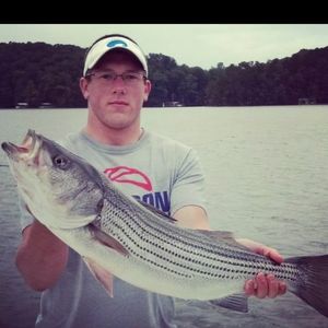 Meet your Posher, Paul