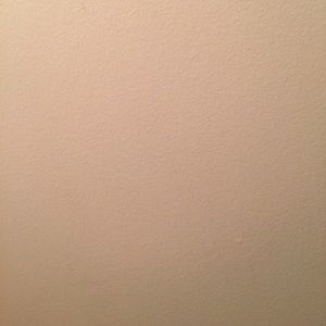 Meet your Posher, Alejandro