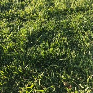 Meet your Posher, Jen