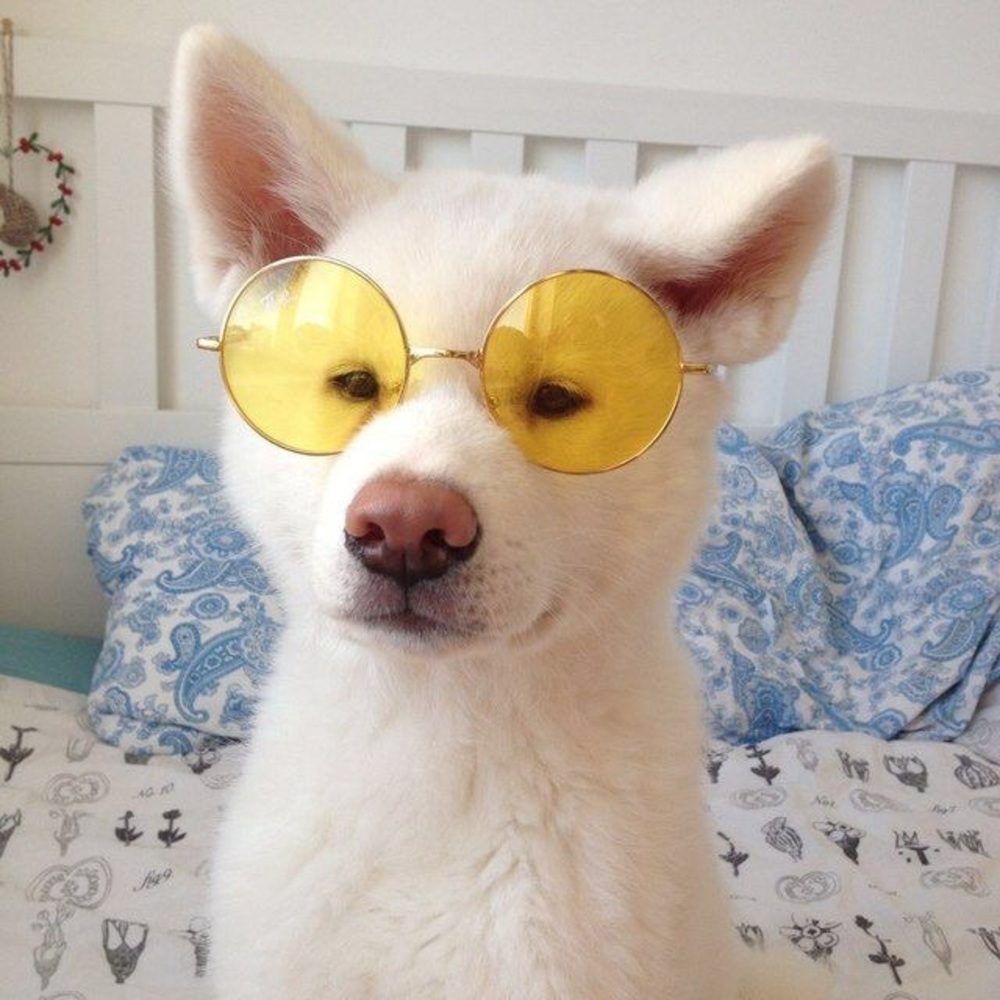 THIS IS ME YO WHATS UP
