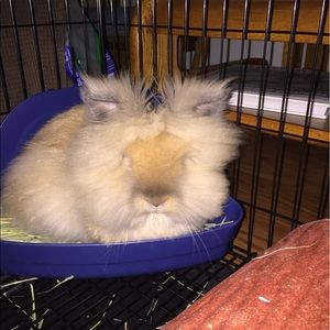 Meet your Posher, Cindy